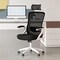 Adjustable Swivel Task Chair Ergonomic Office Chair with Adjustable Lumbar Support